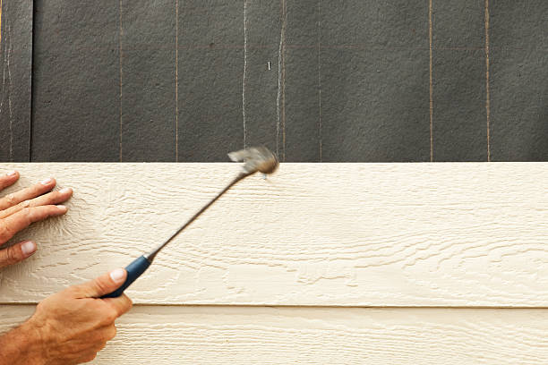 Best Vinyl Siding Installation  in Hooper, UT